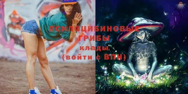 бошки Абинск