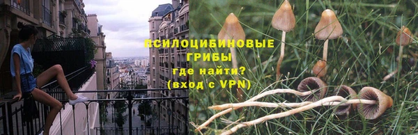 дживик Абаза