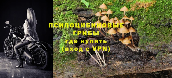 МДПВ Алексеевка