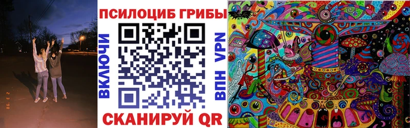 МЕГА   Луга  Галлюциногенные грибы Psilocybine cubensis  цена  