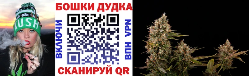блэк спрут ссылки  Луга  Конопля OG Kush 